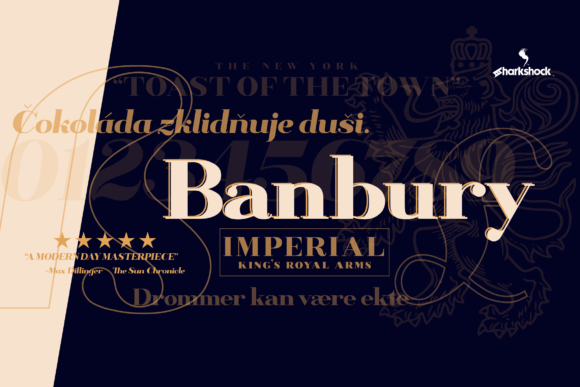 Banbury: A Display Font with Vintage Poise and Modern Bite