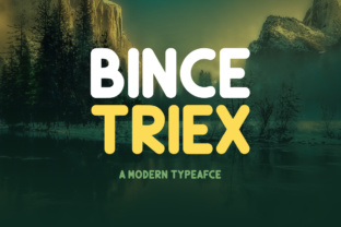 Bince Triex: A Rounded Sans Serif Font for Clear Campaigns