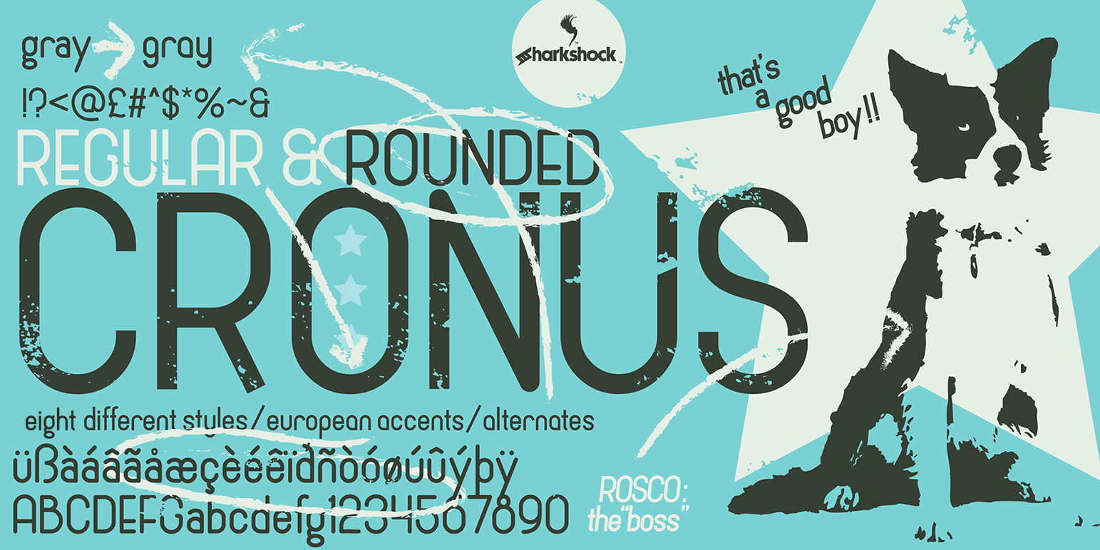 Cronus: A Warm Sans Serif Font for Handmade Products