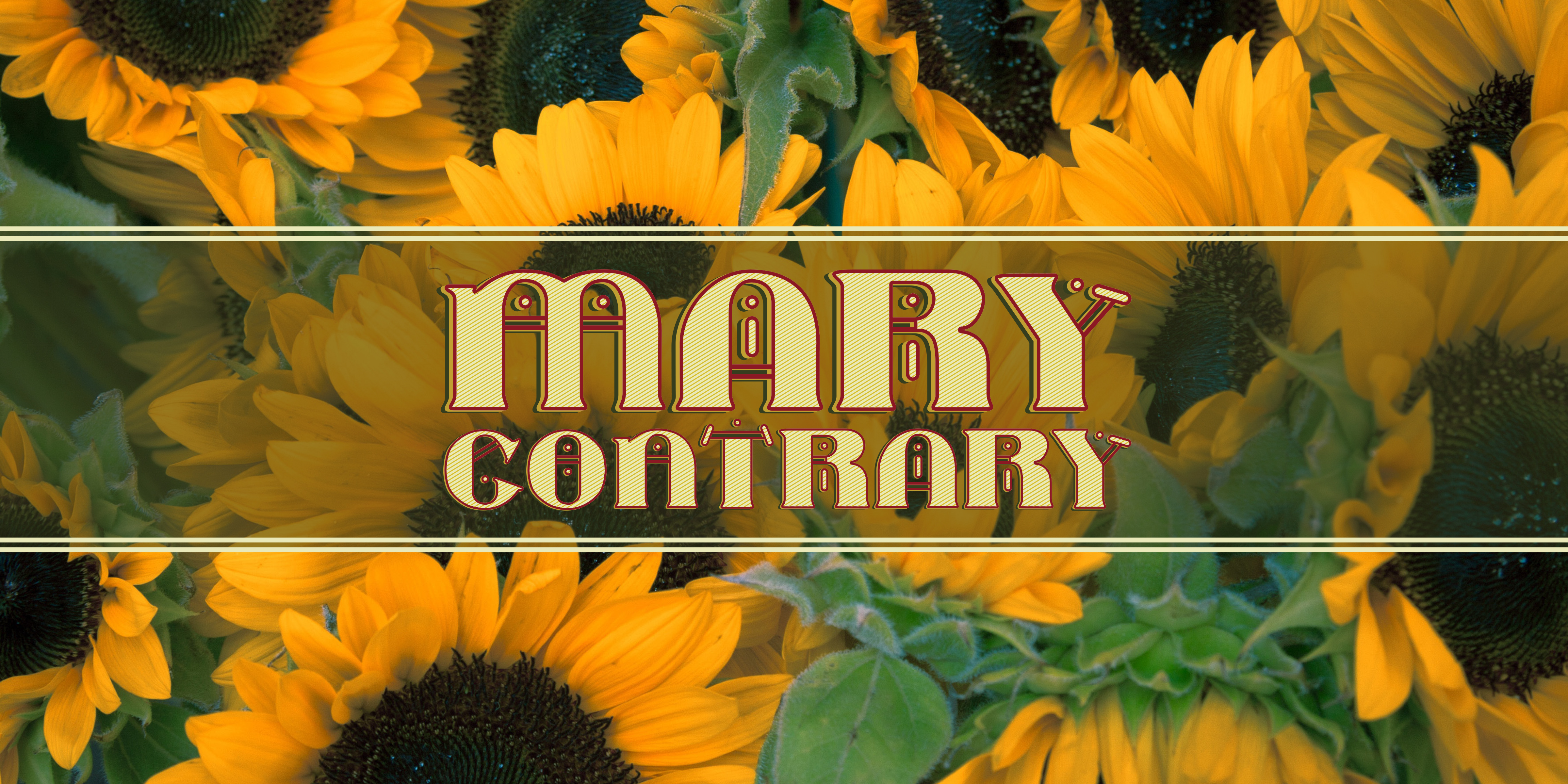 Mary Contrary: A Playful Display Font for Bold Creative Projects