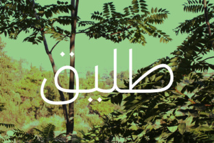 Testing Taleeq: An Arabic Typeface for Real Branding